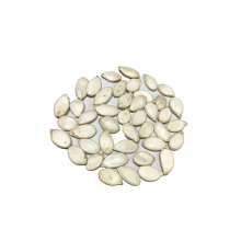 New crop  delicious snack 11mm snow white pumpkin seed with best quality